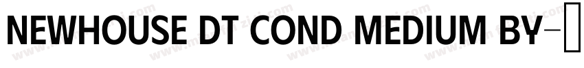 Newhouse DT Cond Medium by字体转换